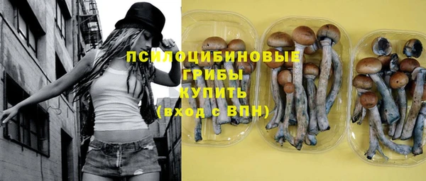 эйфоретик Богородск