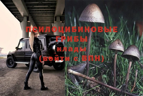 a pvp Богородицк